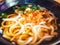 Japanese udon noodles in broth