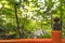 Japanese vermilion bridge surrounded by maples and cherry trees