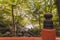 Japanese vermilion bridge surrounded by maples and cherry trees