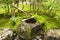 Japanese water bamboo fountain