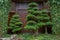 Japanese welcoming pine landscape