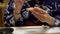 Japanese Woman eating Taraba Alaskan king crab seafood using crab fork at Japan ryokan