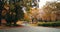 Japanese woman, kimono and walking by trees with autumn leaves and religion for peace in nature. Person, outdoor and