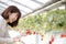Japanese women enjoy strawberry picking at leisure
