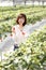 Japanese women enjoy strawberry picking at leisure