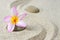 Japanese zen garden meditation stones and frangipani