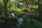 Japanese zen garden Sogenchi with stream of water running in lush meadow at temple Tenryu-ji in Kyoto, Japan