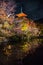 Japnese temple Kiyomizu at night, Kyoto