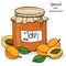 Jar of apricot jam and fresh ripe apricots. Vector illustration in sketch style.