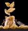 Jar of conchiglie pasta shell on wooden table  on black background