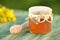 Jar of delicious honey with rapeseed flowers and honey dipper