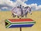 JAR flag on wooden table sign on tropical background. A group of zebras stands in the grass on the savannah in Africa. Behind them