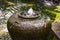 Jar fountain decoration in the green garden.Thailand.