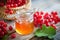 Jar of honey and Guelder rose or Viburnum berries.
