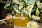 Jar with honey, honeycomb with pollen and linden flowers