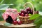 Jar of jam and basket of sweet cherries in garden outdoors