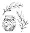 Jar of marinated olives set with sketched branches