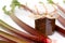 Jar of rhubarb jam with stalks of fresh rhubarb