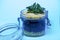 Jar with succulent plant