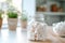 A jar of white marshmallows on a wooden table, with a blurred kitchen background