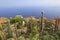 Jardin botanique d`Eze, with various cacti on foreground, aerial view, French Riviera