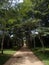 Jardin Botanique de Kisantu