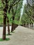 Jardin de Palais Royal, public park in the city centre of Paris, France