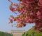 Jardin des Plantes, Paris