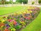 Jardin du Luxembourg (Park)