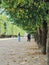 Jardin du palais royal, one of the most famous public parc in Paris, France