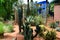 Jardine Majorelle in Marrakesh, Morocco