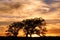 Jarrett Prairie Nature Preserve Sunset