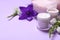 Jars of body cream and flowers on lilac background