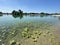 Jarun - small lake or Jarunsko small lake during the summer, Zagreb - Croatia / Jarun - malo jezero ili Jarunsko malo jezero