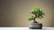 Jasmine Bonsai Tree - Minimalist German Pilsner Desktop Wallpaper