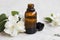 Jasmine essential oil. Bottle of jasmine aromatherapy oil with d