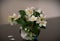 Jasmine flowers in a glass vase. Beautiful jasmine flowers in mini vase