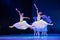Jasmine Flowersï¼ˆtwoï¼‰-Chinese National Ballet