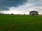 Jasmine rice plantation in Thailand. The green leaves of paddy rice in filed. Growing rice in rainy season.