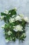 Jasmine and white peonies on light gray concrete surface table