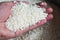 Jasmine white rice on hand in sack, harvest rice and food grains cooking concept