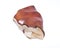 Jasper multicolor polished stone carving