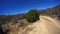 Jasper Trail Borrego Desert Ca POV 8