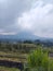 Jatiluwih, 25 June 2023 : Rice terraces of Bali, Indonesia with the volcano in the background