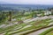 Jatiluwih Rice Terraces in Bali. Cultural Landscape Heritage Site in Tabanan. UNESCO Heritage.