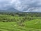 Jatiluwih UNESCO Rice Terrace Bali Indonesia