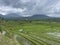 Jatiluwih UNESCO Rice Terrace Bali Indonesia