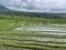 Jatiluwih UNESCO Rice Terrace Bali Indonesia