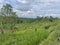 Jatiluwih UNESCO Rice Terrace Bali Indonesia