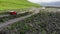Java Indonesia Bromo green fields landscape 4x4 suv drone 4k